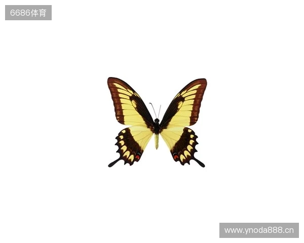 破茧成蝶:Legacy如何登顶南美、跻身世界顶尖行列